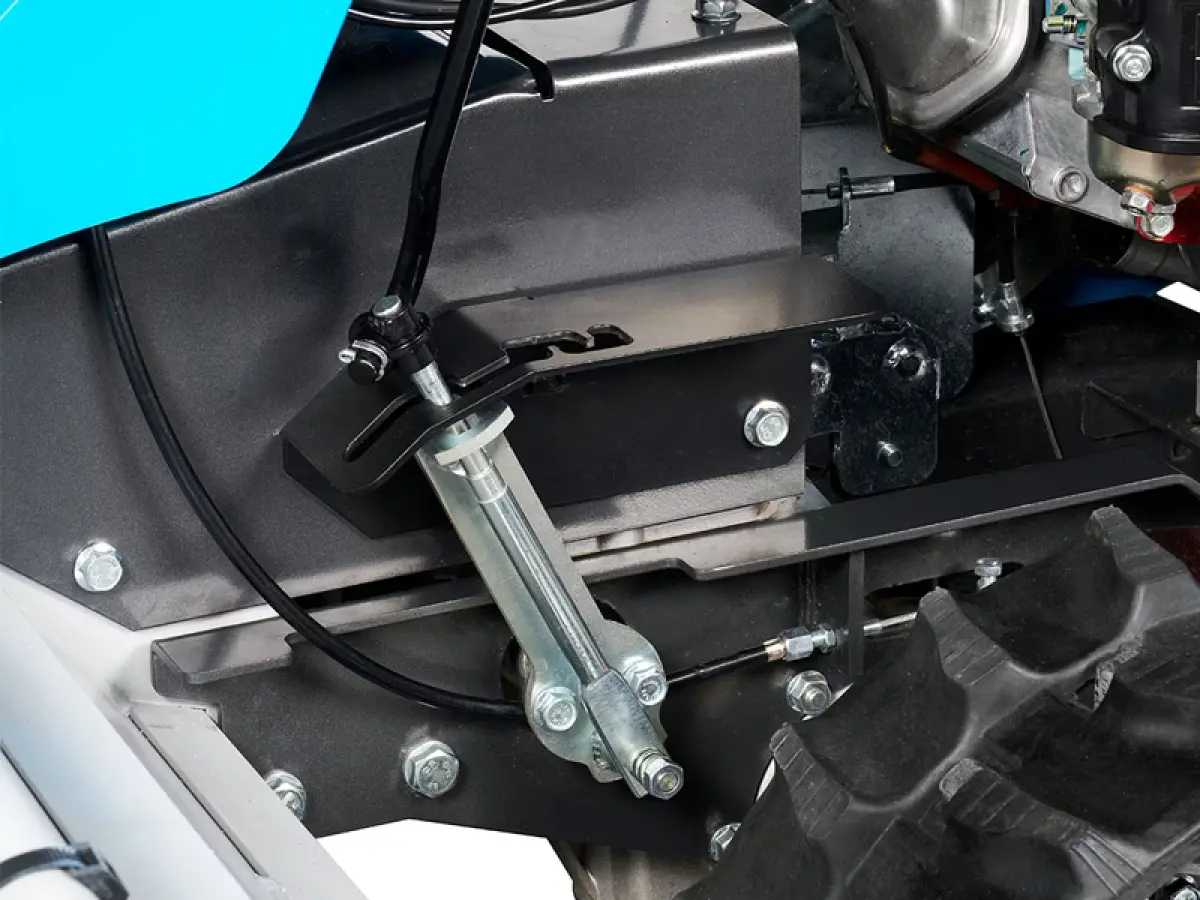 Trinciasarmenti professionale BTS 100 Bertolini - immagine 2