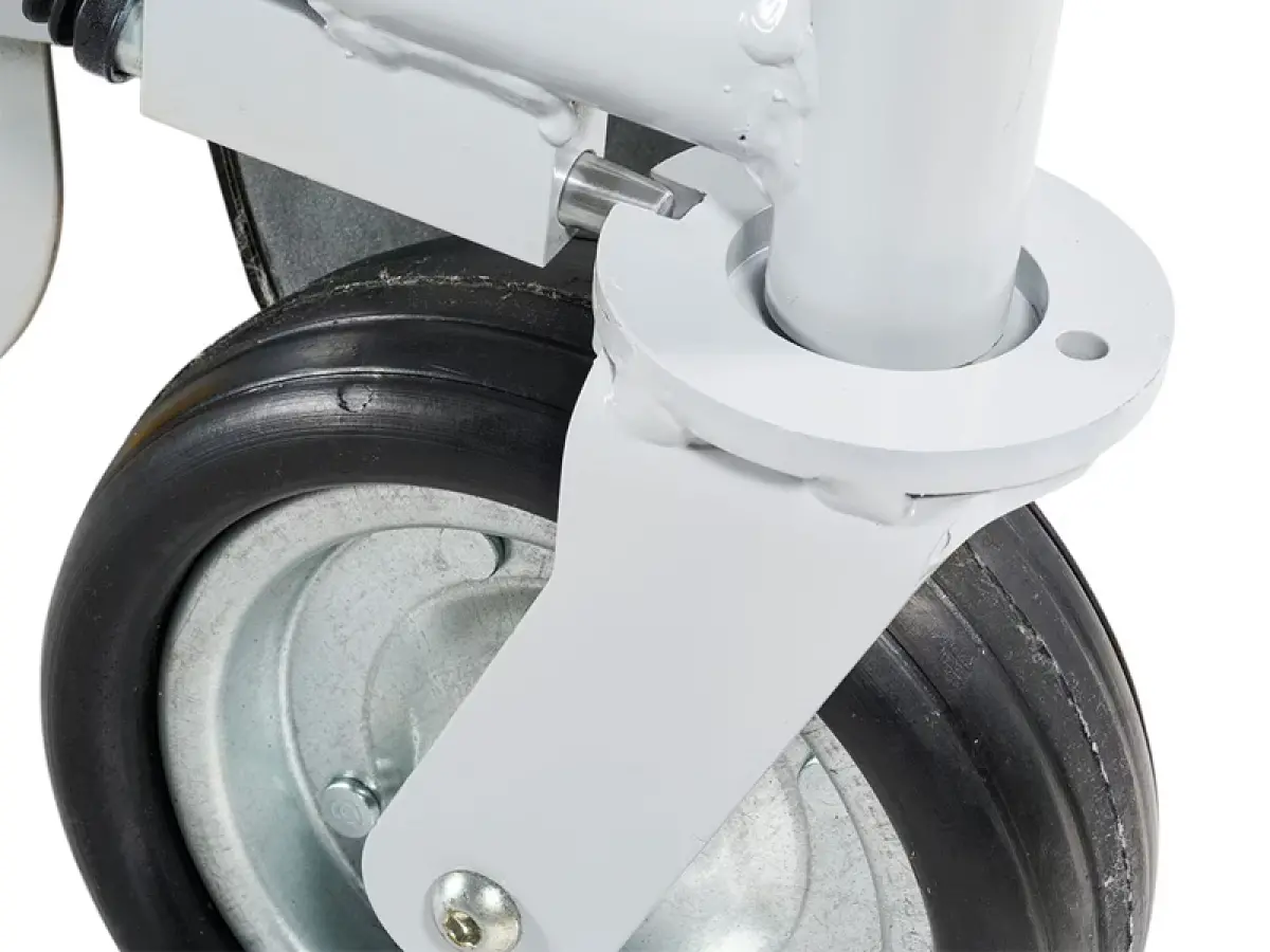Trinciasarmenti professionale BTS 100 Bertolini - immagine 4